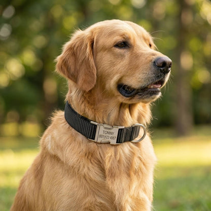 NameCollar – Gepersonaliseerde Leren Halsband met Naam & Nummer
