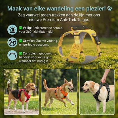 SafeWalk tuig in het donker