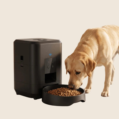 MealPilot - Automatische voerbak voor kat en hond met app en timer