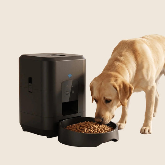 MealPilot - Automatische voerbak voor kat en hond met app en timer