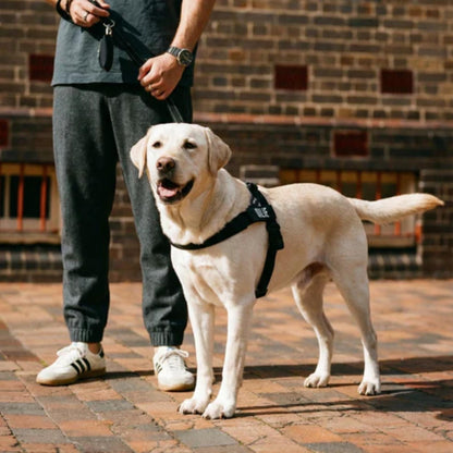 WalkGuard - Hondentuig met Naam voor Trotse Baasjes