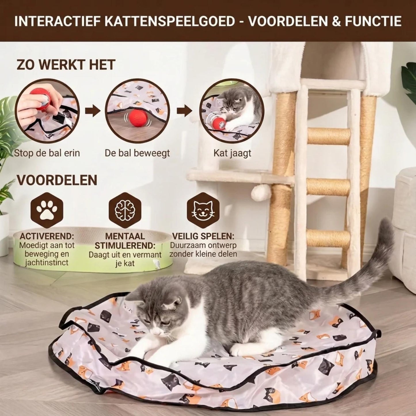 PeekBall – Interactief Kattenspeeltje met Verborgen Bal