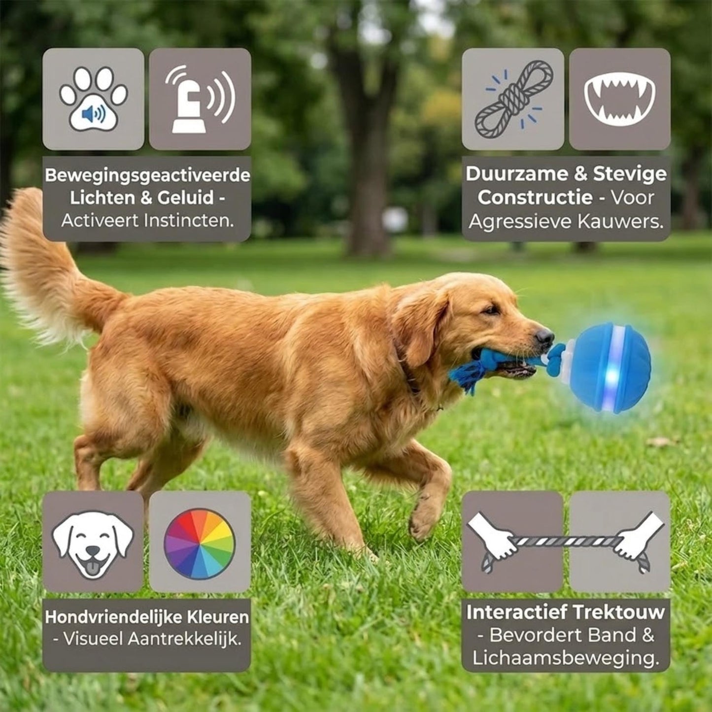 PlayPulse - Interactieve hondenbal met bewegingssensor en trektouw