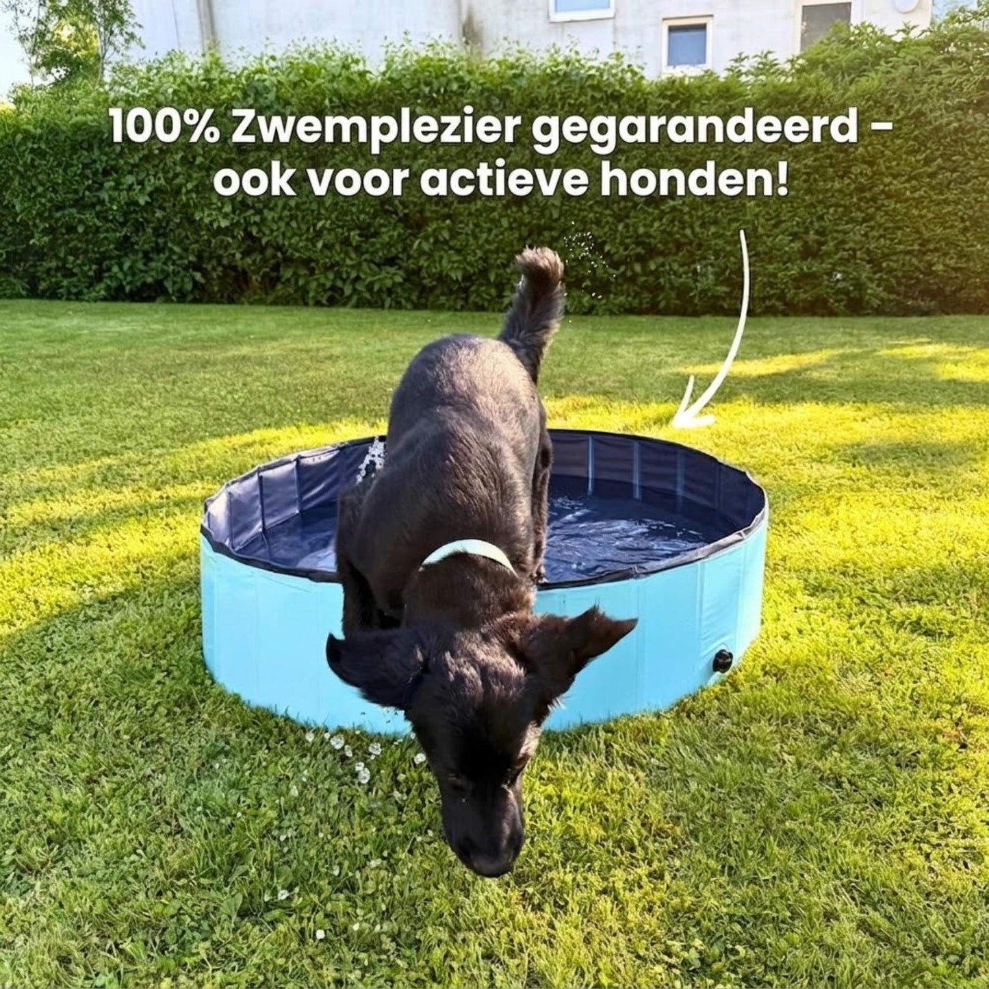 SplashPaws - Opvouwbaar hondenzwembad voor koele zomerdagen