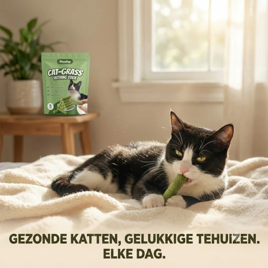 PurrGraze – Natuurlijk kauwplezier voor een gezond kattengebit
