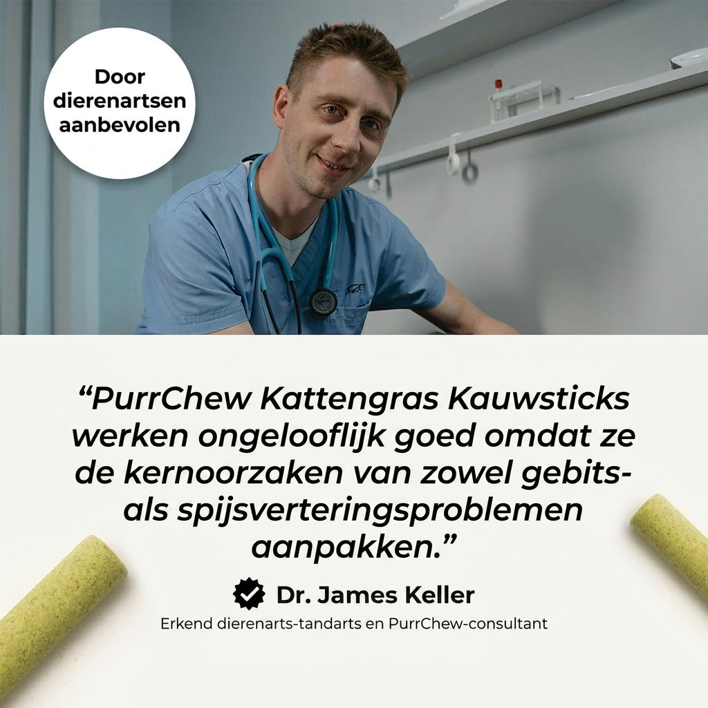 Door dierenartsen aanbevolen: PurrChew kattengras kauwsticks