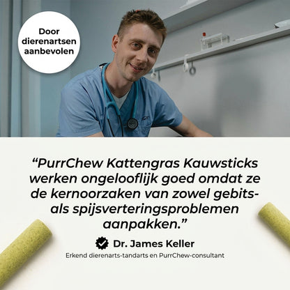 Door dierenartsen aanbevolen: PurrChew kattengras kauwsticks