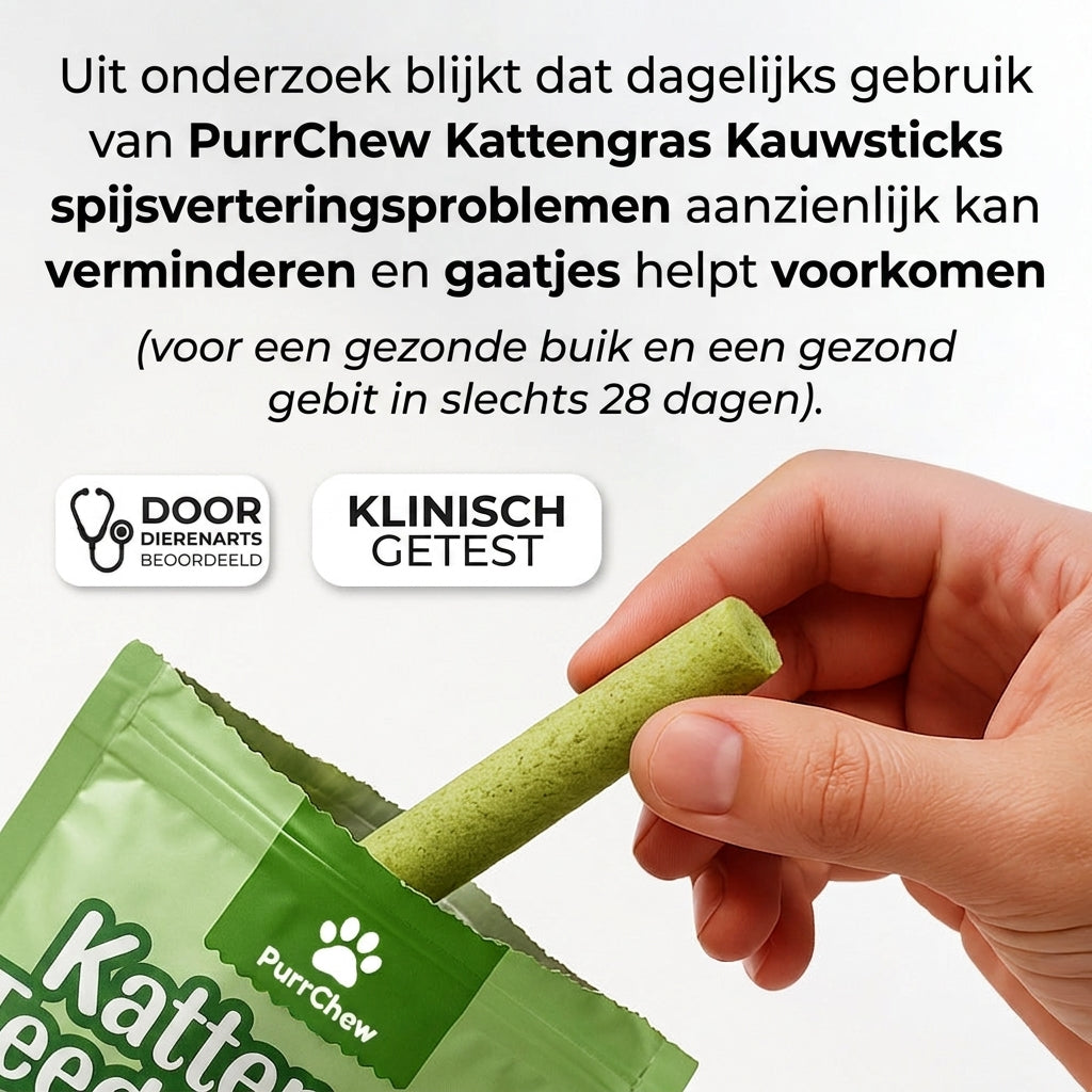 Onderzoek: PurrChew vermindert spijsverteringsproblemen en gaatjes