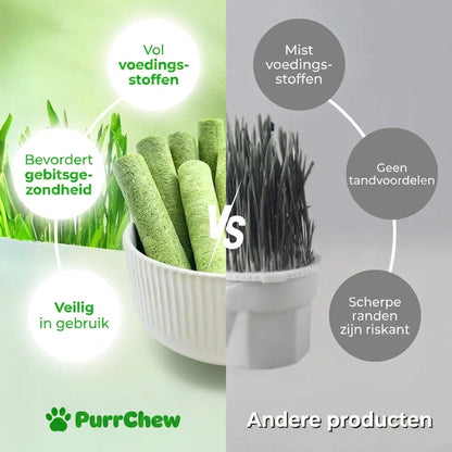 PurrChew vergeleken met gewone kattensnacks
