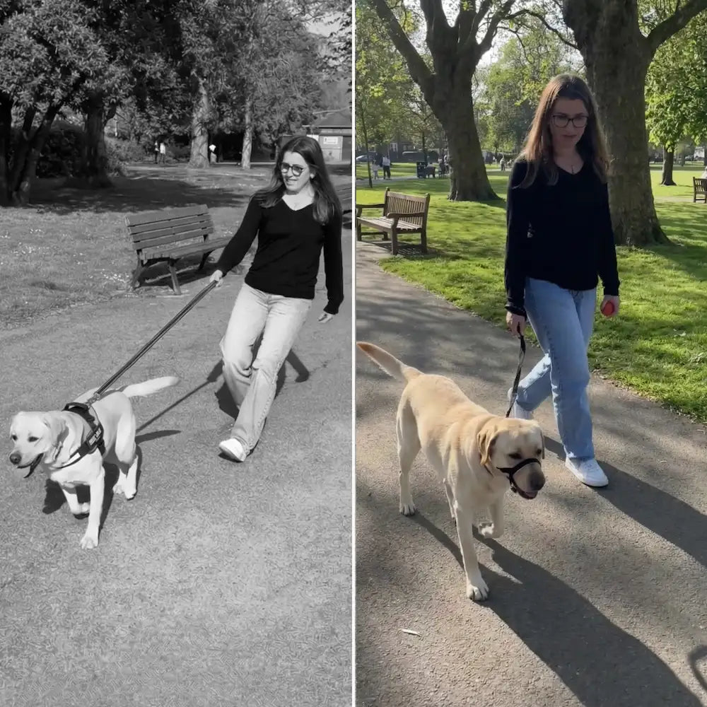 WalkEasy – Anti-Trek Hondenriem