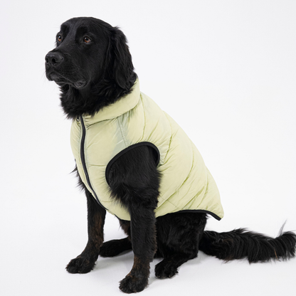 CozyCloak - Warme omkeerbare hondenjas voor de winter
