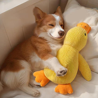 BuddyBite – De knuffel die angst en stress wegneemt