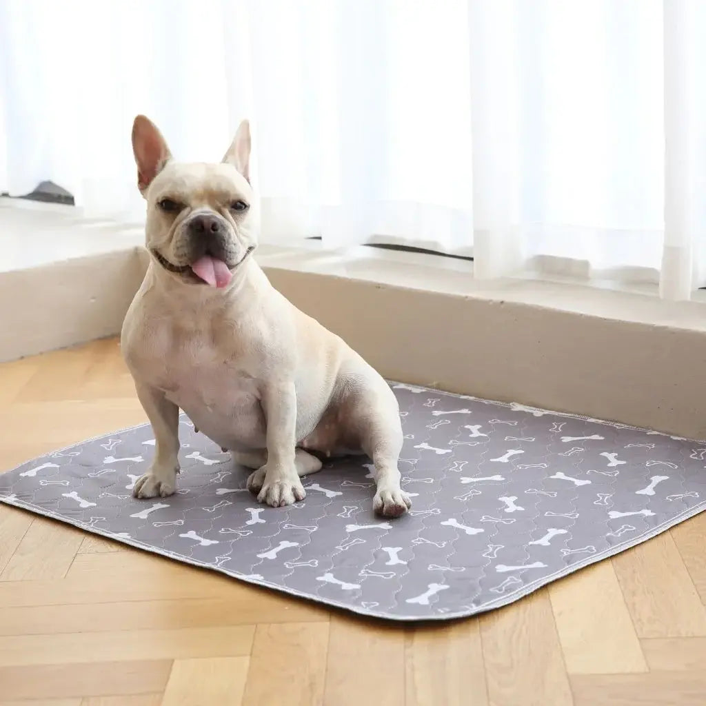 PuppyPad – Wasbare Zindelijkheidsmat voor Honden & Puppy's