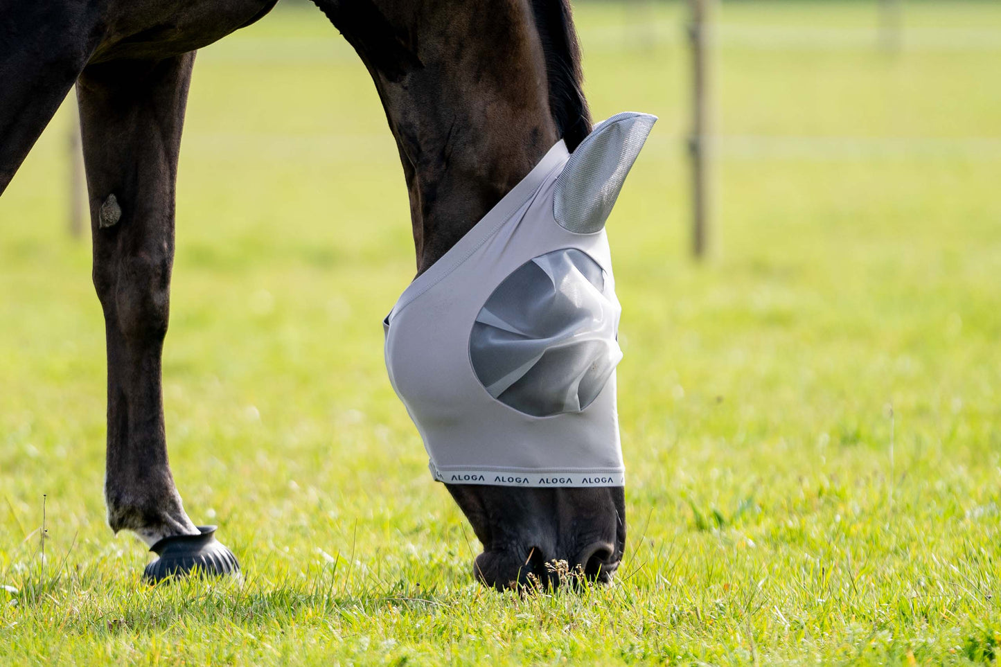 FlyShield – Vliegenmasker dat je Paard Eindelijk Rust Geeft