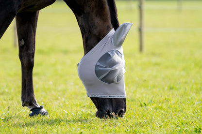 FlyShield – Vliegenmasker dat je Paard Eindelijk Rust Geeft