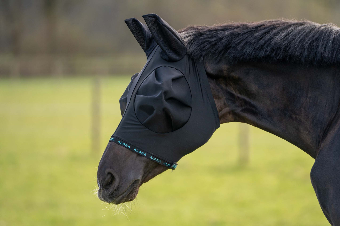 FlyShield – Vliegenmasker dat je Paard Eindelijk Rust Geeft