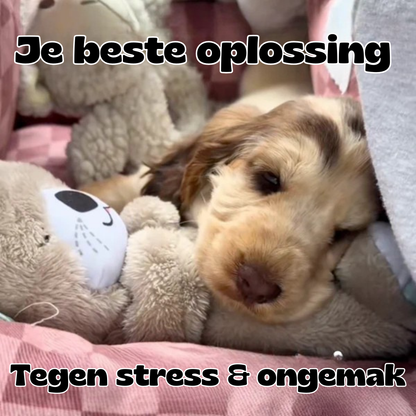 CalmOtter - kalmerend effect op je hond