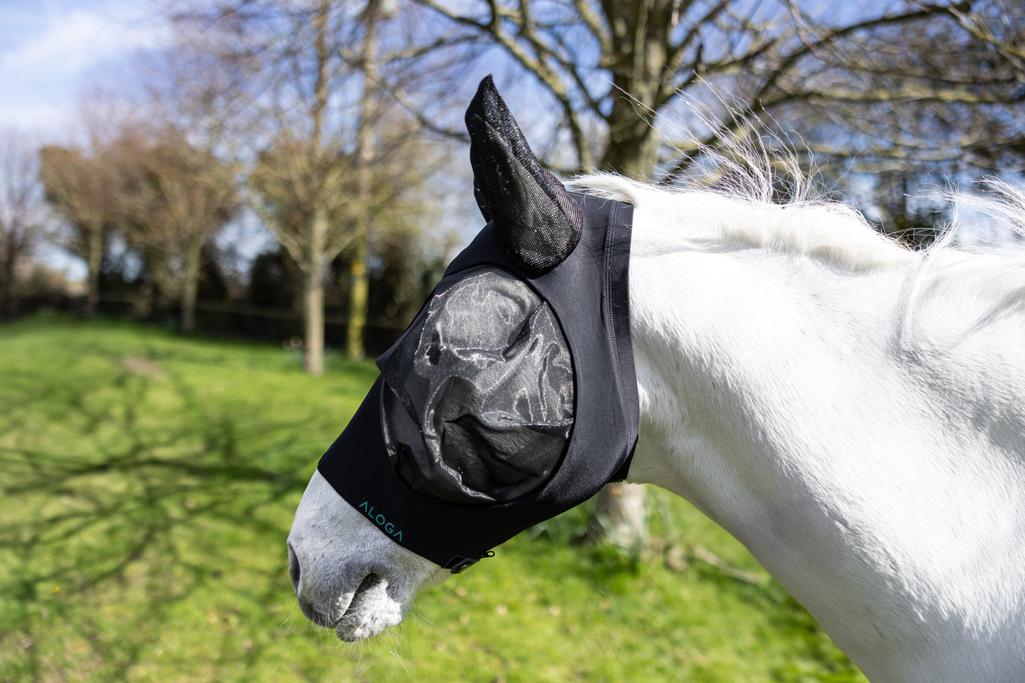 FlyShield – Vliegenmasker dat je Paard Eindelijk Rust Geeft