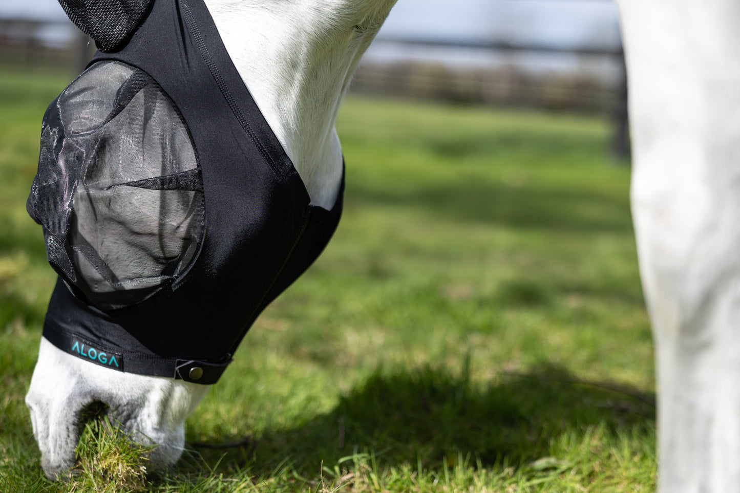 FlyShield – Vliegenmasker dat je Paard Eindelijk Rust Geeft
