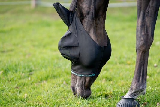 FlyShield – Vliegenmasker dat je Paard Eindelijk Rust Geeft