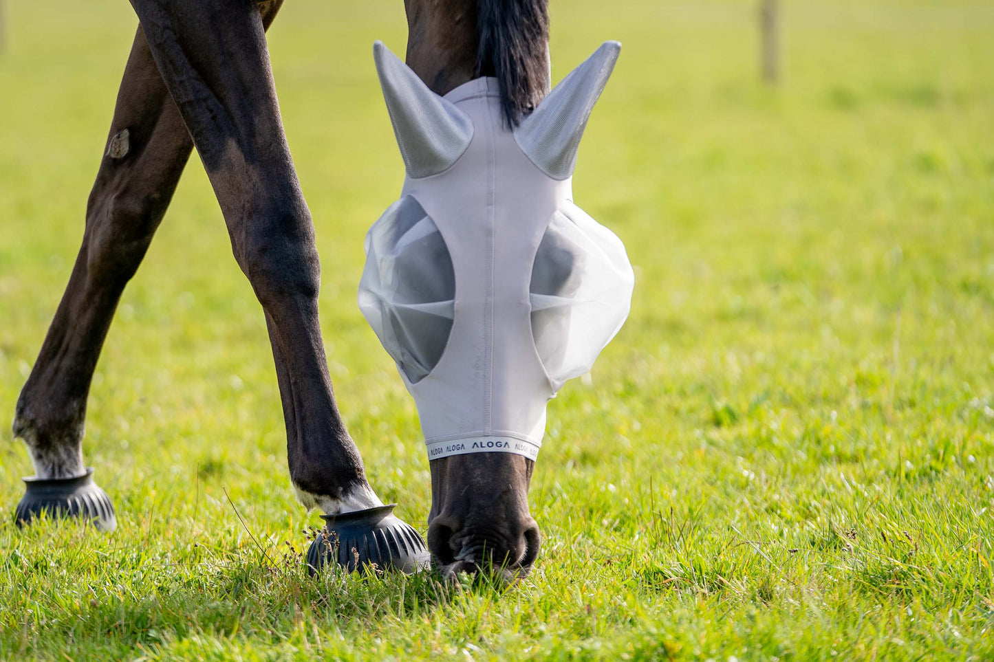 FlyShield – Vliegenmasker dat je Paard Eindelijk Rust Geeft