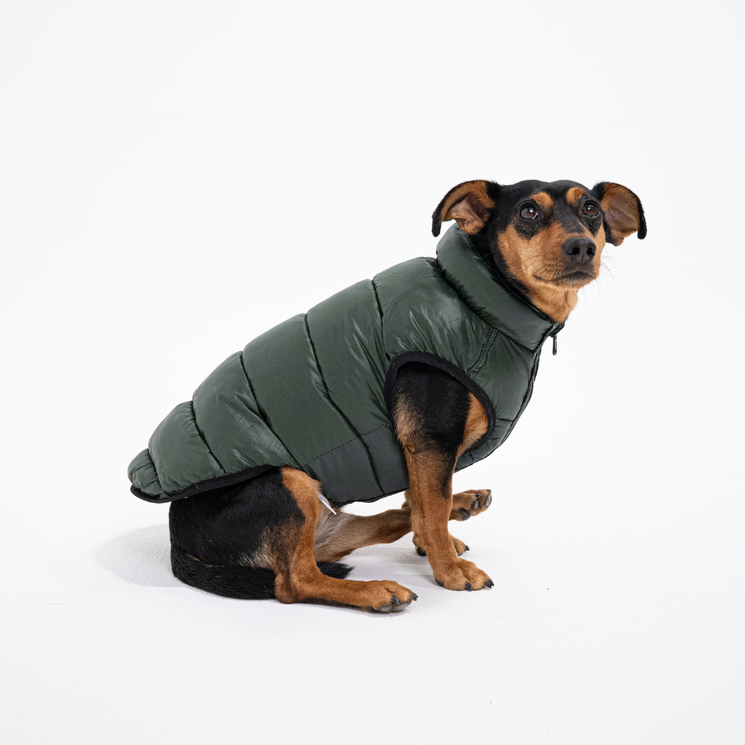 CozyCloak - Warme omkeerbare hondenjas voor de winter