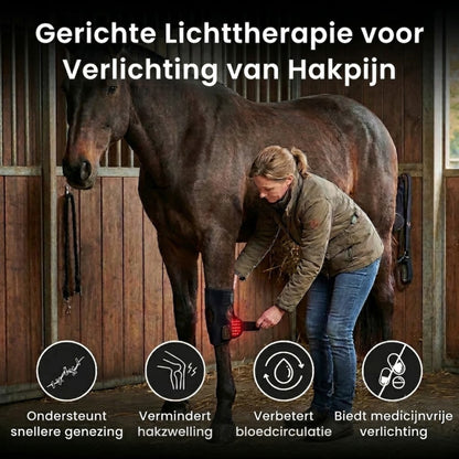 HockGlow – Soepele Sprongen En Sneller Herstel Voor Je Paard