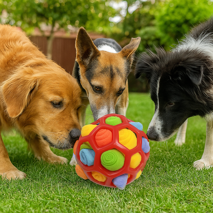 Hond snuffelt aan SniffiBall