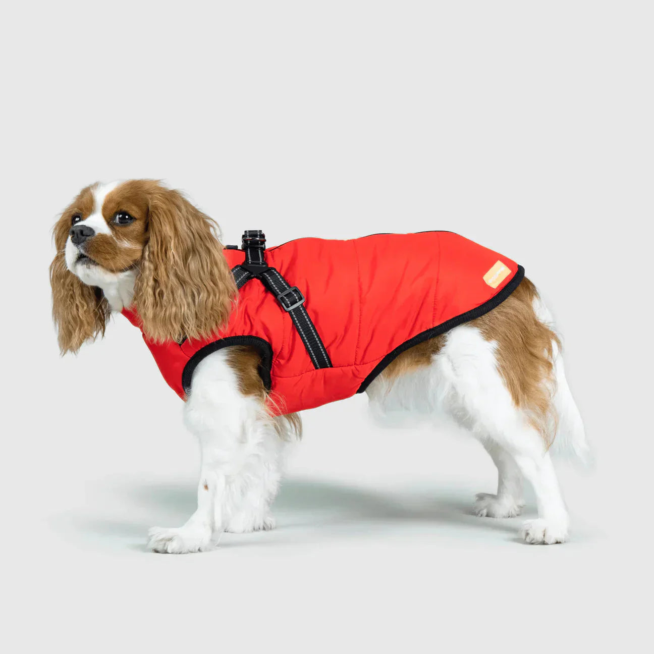 FutroHeat winter hondenkleding