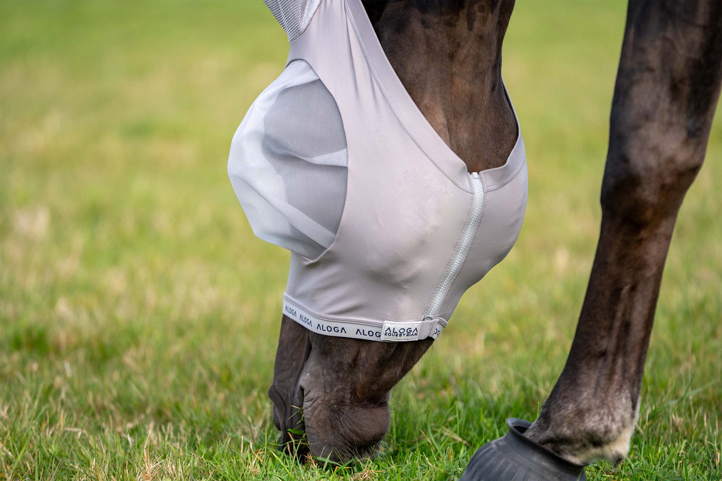 FlyShield – Vliegenmasker dat je Paard Eindelijk Rust Geeft