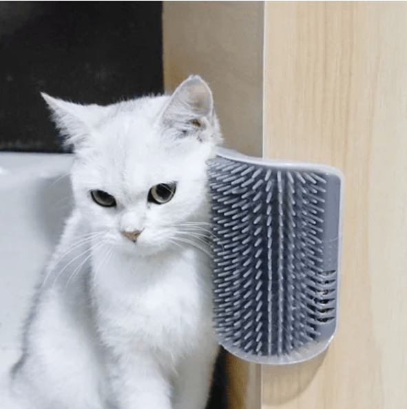 PurrCorner hoek-massageborstel katten