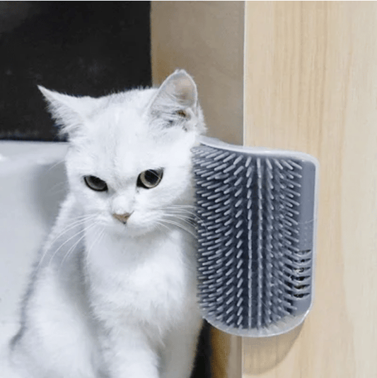 PurrCorner™ – Zelfverzorgende Massageborstel voor Katten