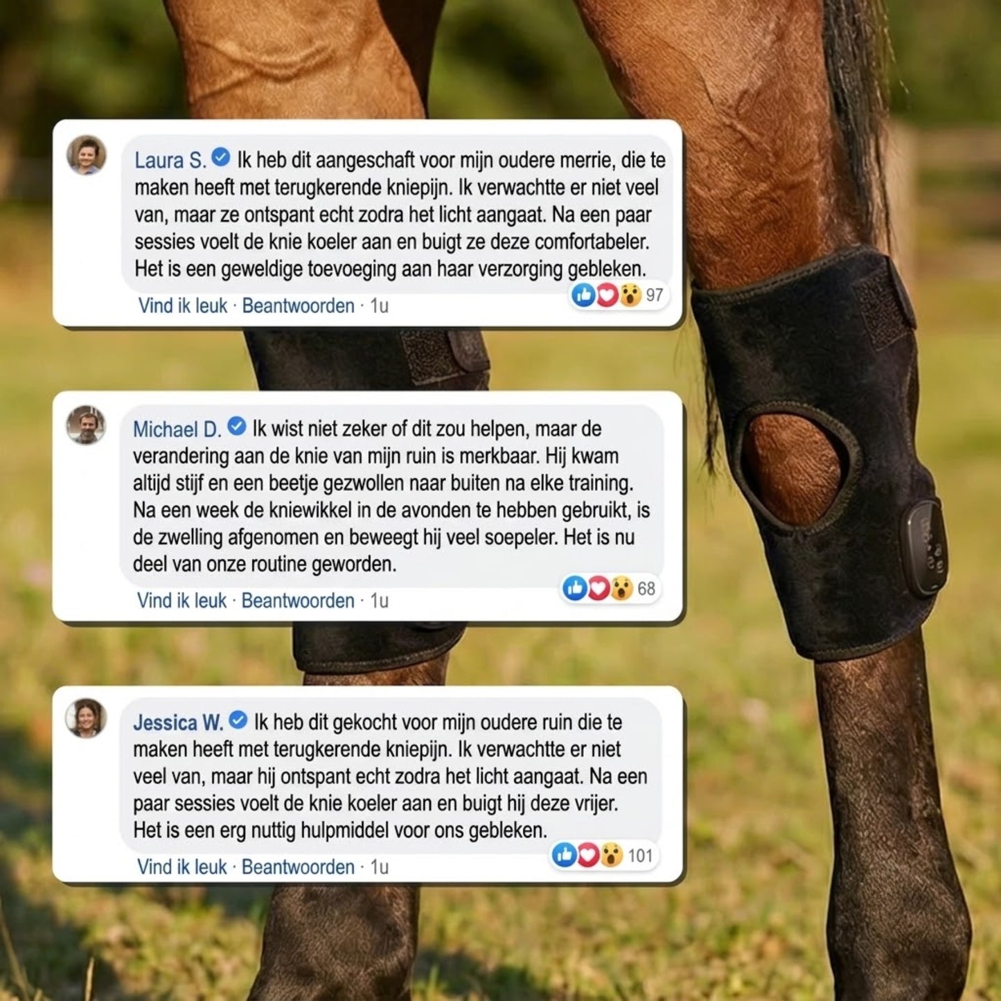 HockGlow – Soepele Sprongen En Sneller Herstel Voor Je Paard