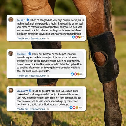 HockGlow – Soepele Sprongen En Sneller Herstel Voor Je Paard