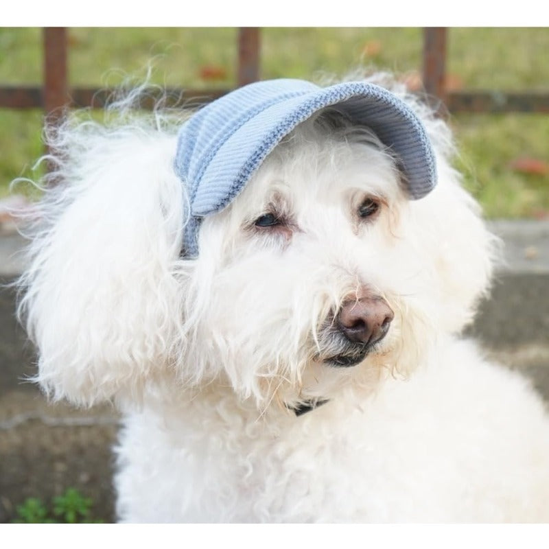 SunCap - Stijlvol UV-Petje voor Honden & Katten