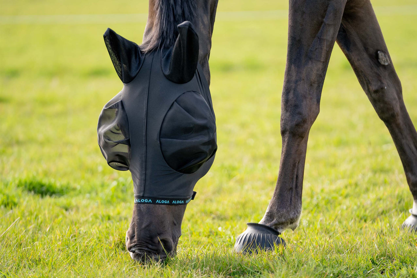 FlyShield – Vliegenmasker dat je Paard Eindelijk Rust Geeft