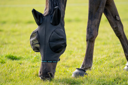 FlyShield – Vliegenmasker dat je Paard Eindelijk Rust Geeft