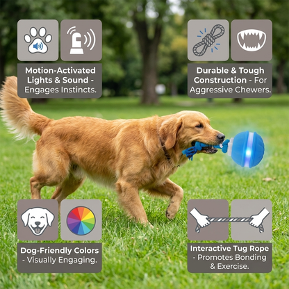 PlayPulse - Interactieve hondenbal met bewegingssensor en trektouw