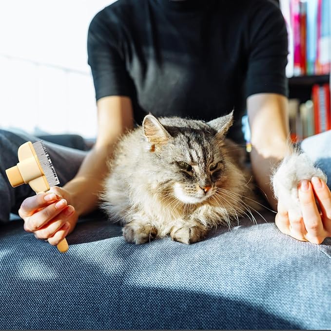 FurGlide – De borstel die je huis haarvrij houdt