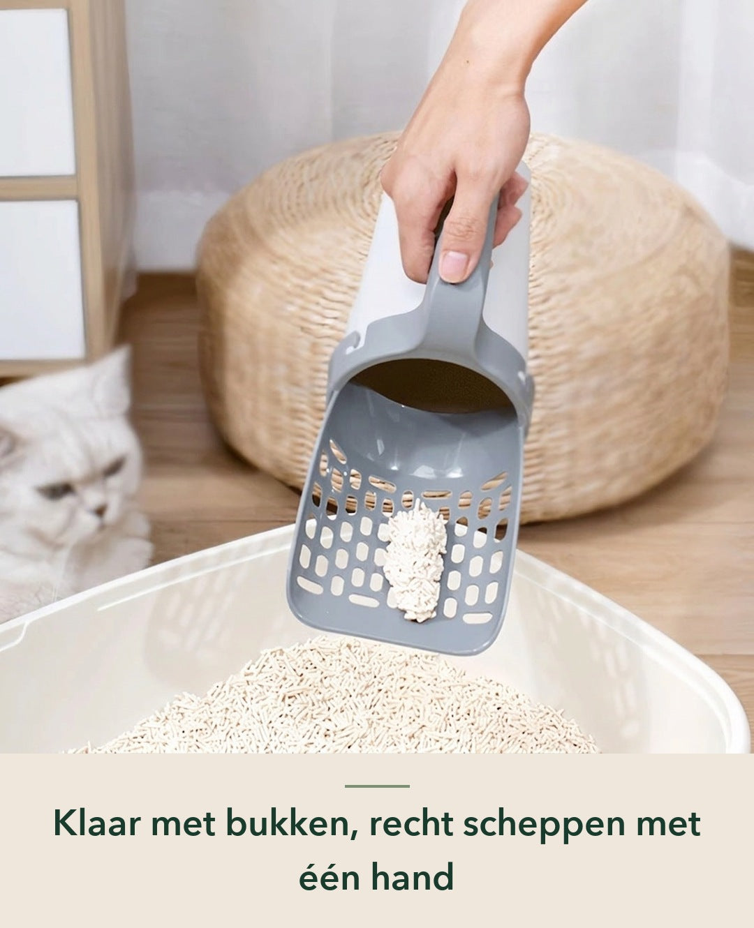 ScoopEase (teruggezet voor review)
