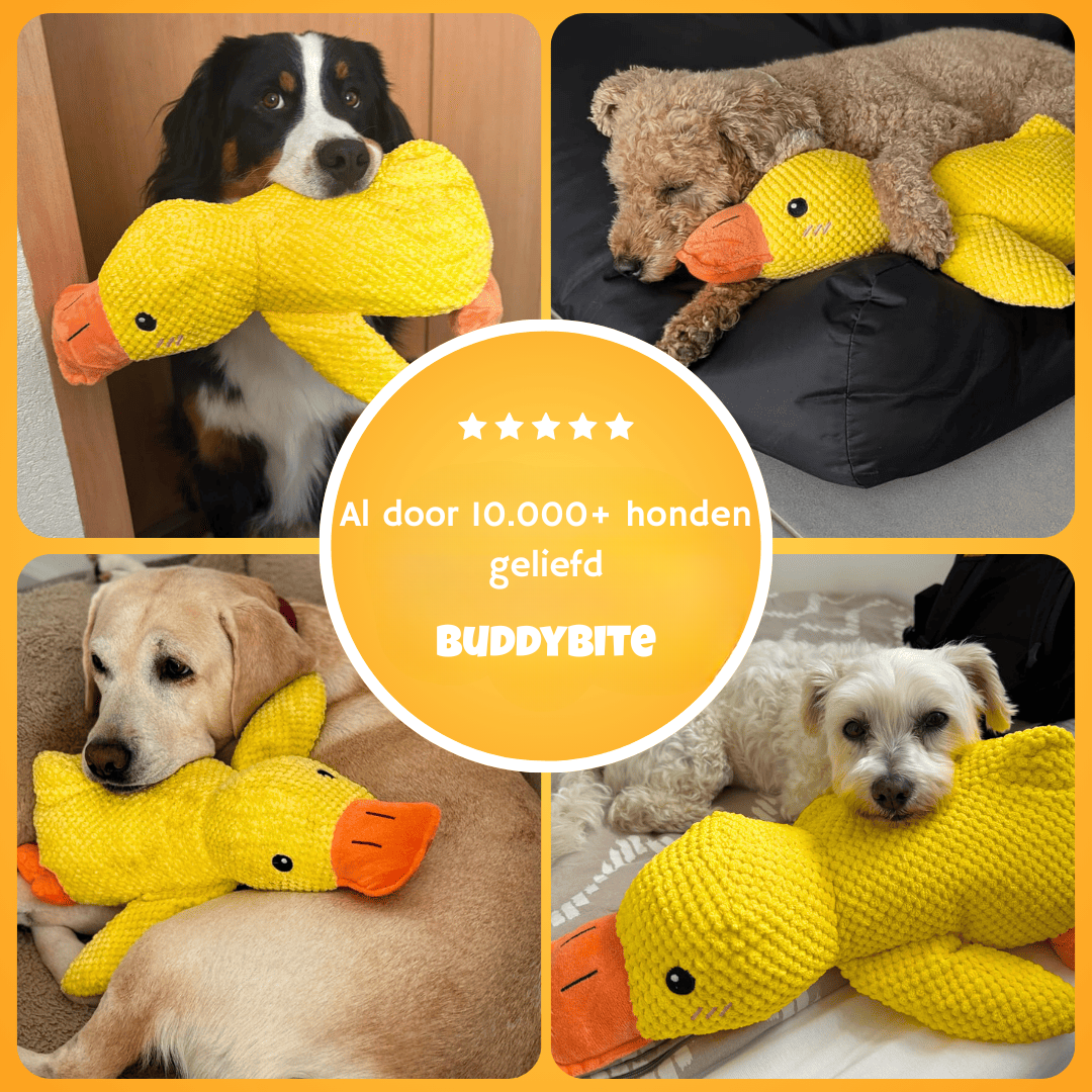 BuddyBite geliefd door duizenden honden