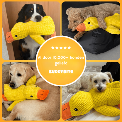 BuddyBite geliefd door duizenden honden