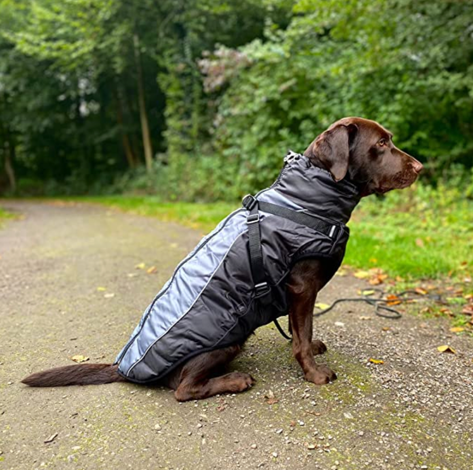RainShell - Waterdichte Hondenjas met Geïntegreerd Tuigje