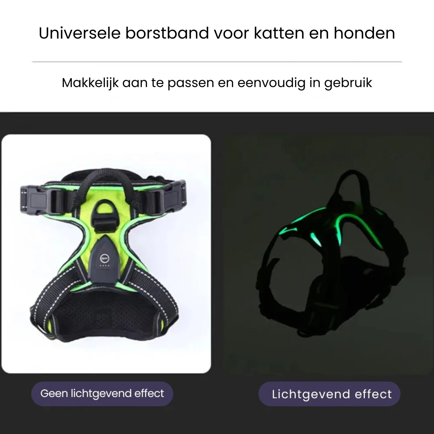 GlowGuard lichtgevend tuig blauw