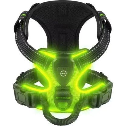 GlowGuard LED hondentuig groen