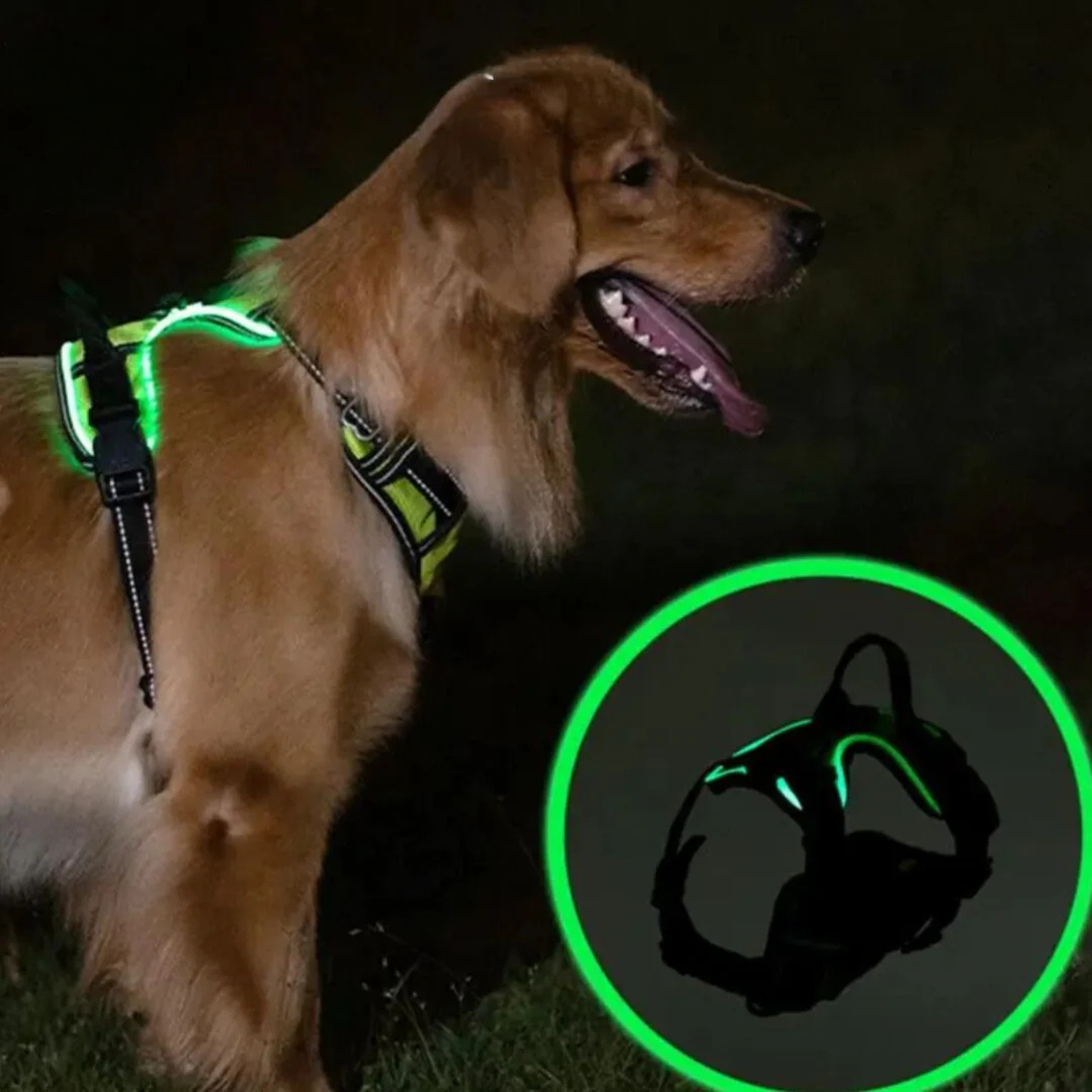 GlowGuard lichtgevend hondentuig