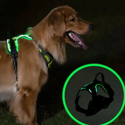 GlowGuard lichtgevend hondentuig
