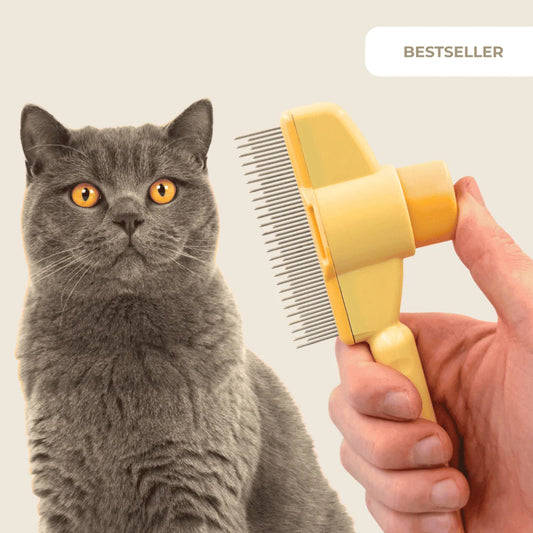 FurGlide – De borstel die je huis haarvrij houdt