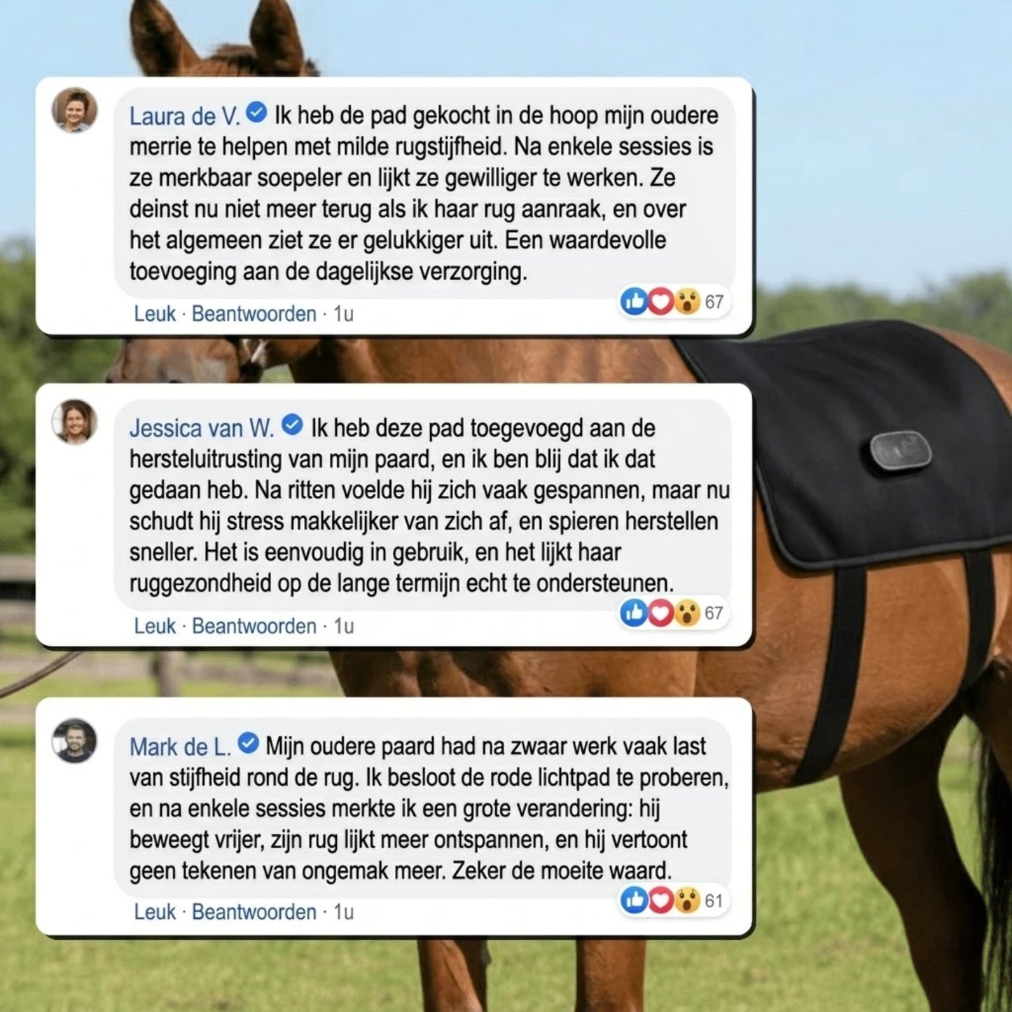 BackGlow - Ontspannen rug en soepelere bewegingen voor je paard