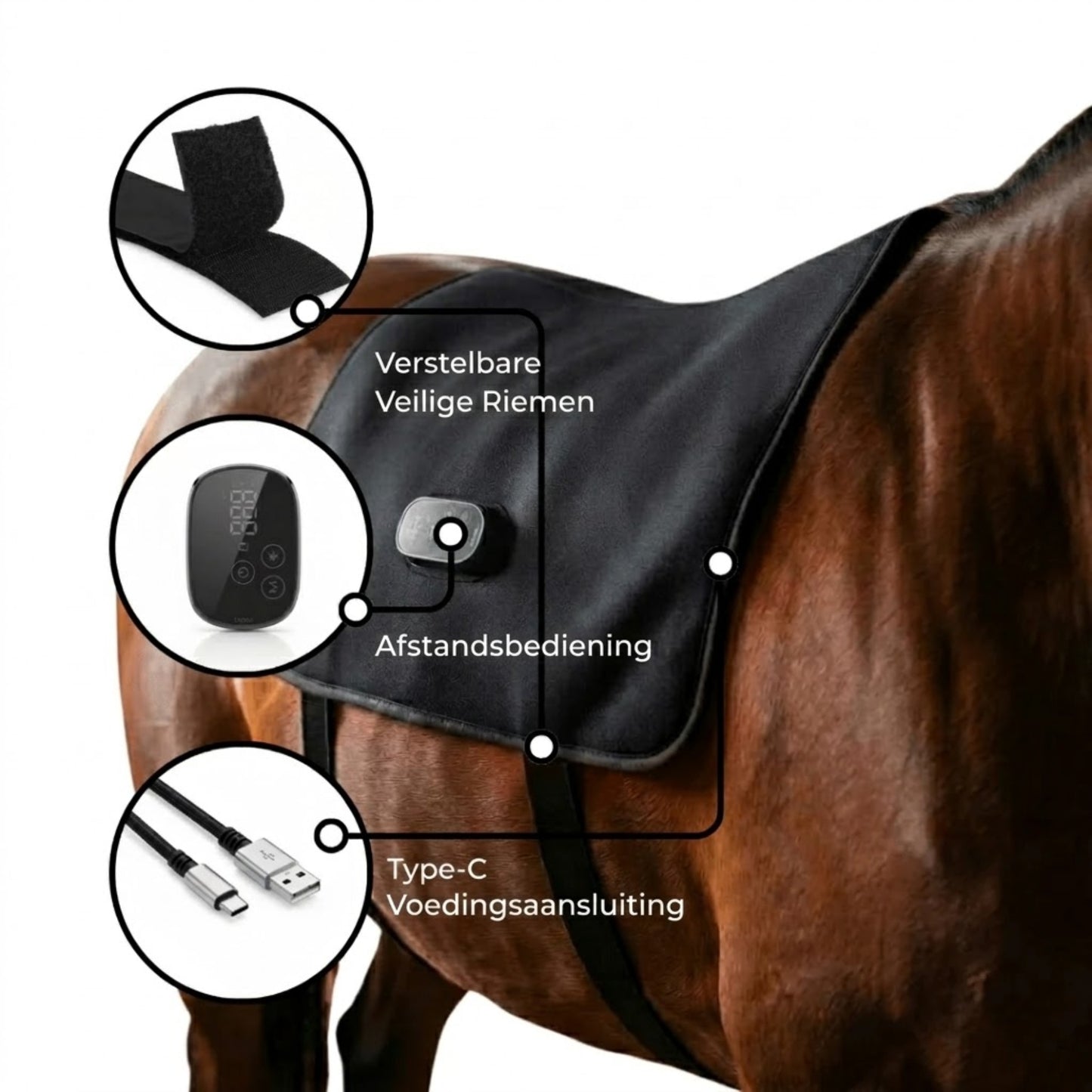 BackGlow - Ontspannen rug en soepelere bewegingen voor je paard
